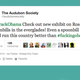 Illustration for article titled 19 Tweets From The Audubon Society/Barack Obama Twitter Feud